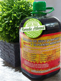 Jugo de Maguey con Sabila