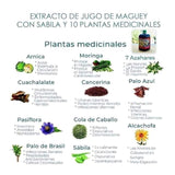 EL ORIGINAL JUGO DE MAGUEY ARTESANAL CON SABILA Y 10 PLANTAS MEDICINALES